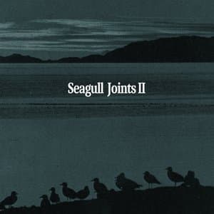 SEAGULL JOINTS II